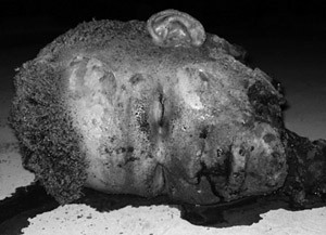 Снимок останков смертника для опознания разослан по всем отделениям милиции России.