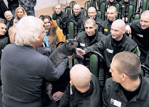 Кот дал юным уголовникам уроки доброты