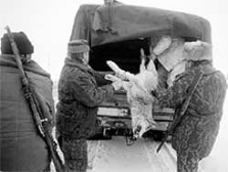 РАЗ - ДВА, ДРУЖНО: едут волки на Газели